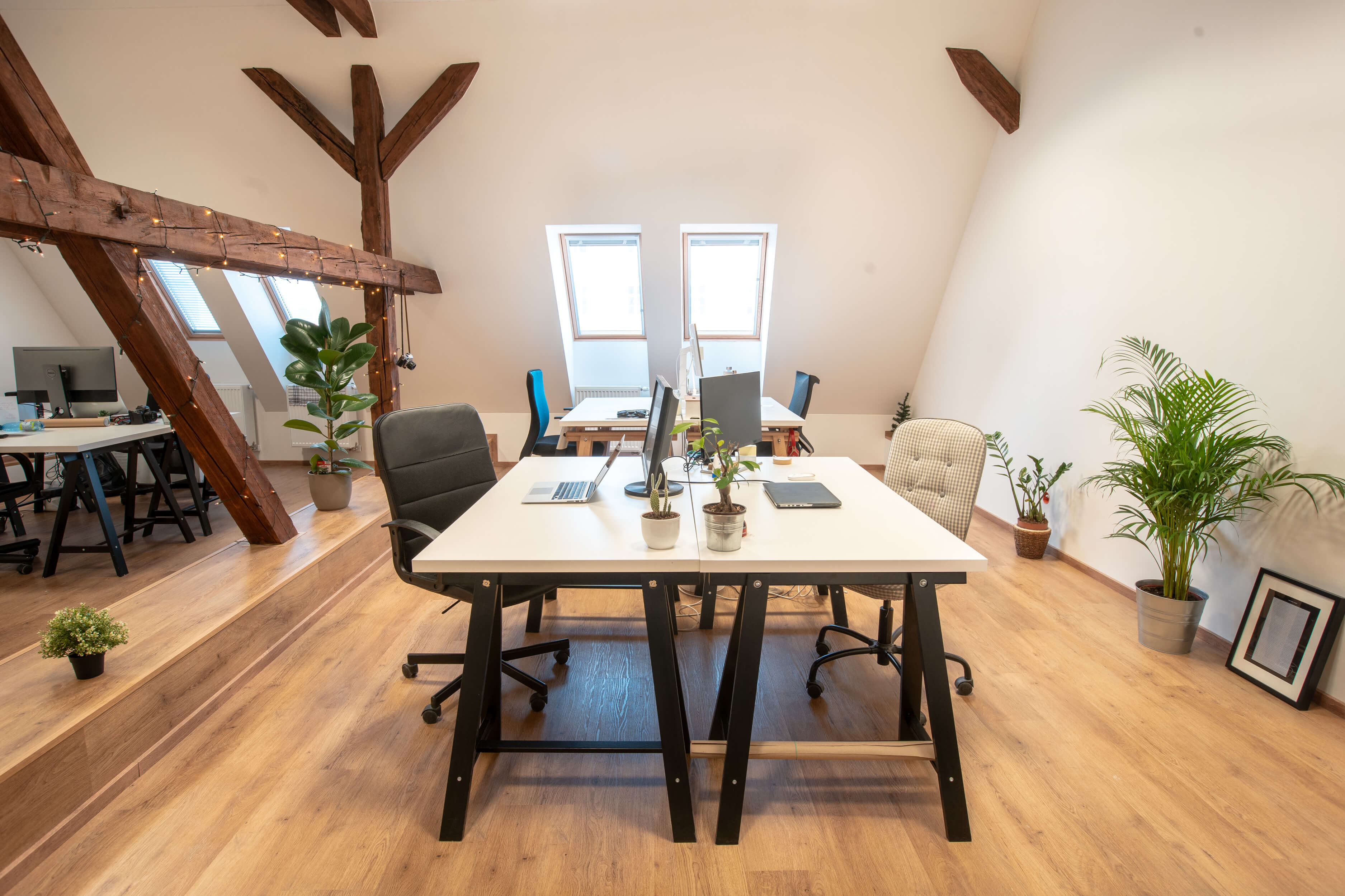 Moderné vybavenie a útulný priestor vo Fleck Coworking navodzujú príjemné prostredie. Moderné vybavenie a útulný priestor vo Fleck Coworking.